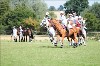 UKPA NC SAT_2667